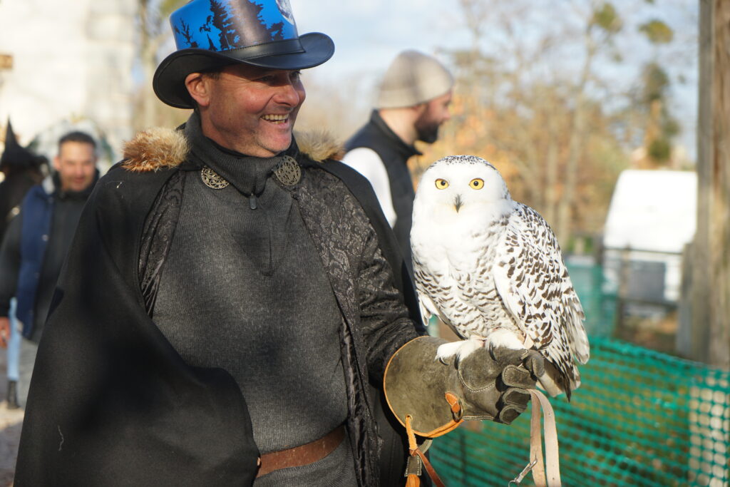 Spectacle Les Aigles de Saint Maurice de Lignon