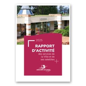 Rapport d'activité des services de la ville